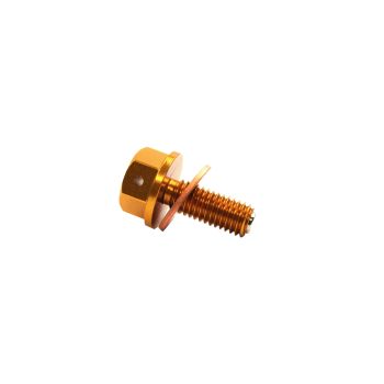 MAGNETIC OIL DRAIN PLUG M8x1.25, CRF 450/250 RMZ 450, GOLD