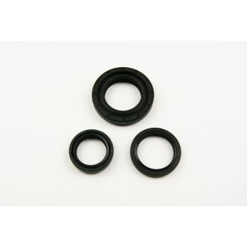 OIL SEAL SET MAICO 250/400/450, WINDEROSA 822121