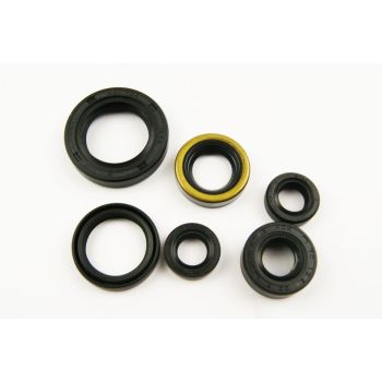 OIL SEAL SET DR350 90-99, WINDEROSA 822194