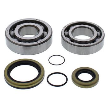 CRANKSHAFT BEARING & SEAL KIT GASGAS, ALLBALLS 24-1118