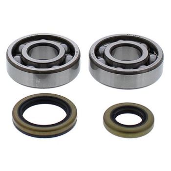 CRANKSHAFT BEARING & SEAL KIT GASGAS, ALLBALLS 24-1119