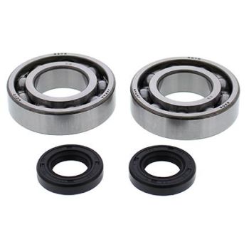 CRANKSHAFT BEARING & SEAL KIT GASGAS, ALLBALLS 24-1121